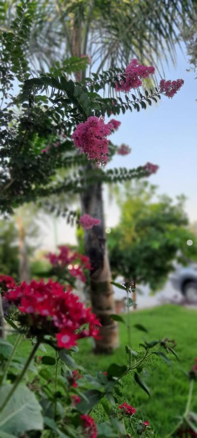 فيلا The Butterflies Wood House Reshafim المظهر الخارجي الصورة