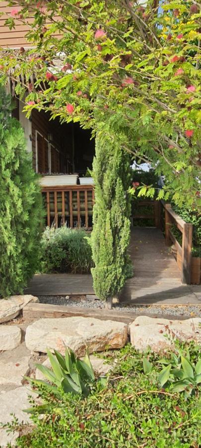 فيلا The Butterflies Wood House Reshafim المظهر الخارجي الصورة